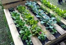 Diy Garden Ideas For Using Old Pallets