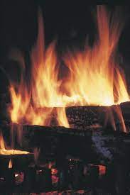 Burn Unseasoned Wood In A Fireplace