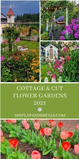 Cottage And Cut Flower Gardens In 2021