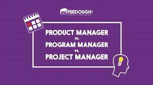 program manager vs project manager