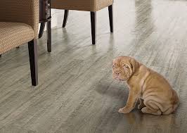 pet friendly flooring columbus ohio