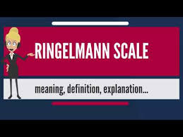 What Is Ringelmann Scale What Does Ringelmann Scale Mean Ringelmann Scale Meaning Explanation