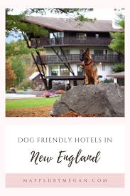 dog friendly hotels in new england