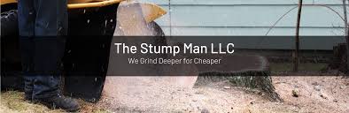Maybe you would like to learn more about one of these? The Stump Man Llc Stump Removal Stump Grinding Service In Atlanta Georgia