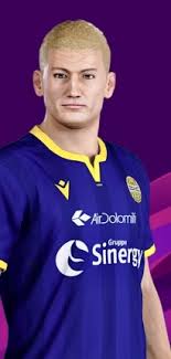 Paweł marek dawidowicz (born 20 may 1995) is a polish professional footballer who plays for italian club verona and the poland national team as a defender. Pawel Dawidowicz Pro Evolution Soccer Wiki Neoseeker
