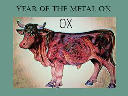 Chinese New Year 2021 Horoscope— Predictions for the Year of the Metal Ox |  by Tessa Schlesinger | I'll Meet You at the Crossroads | Medium