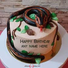 Birthday cake ideas, cake decorating tips, recipes, pictures and advice to all of the birthday cakes you see here are uploaded from people just like you! Snake Birthday Cake Designs With Name Enamewishes