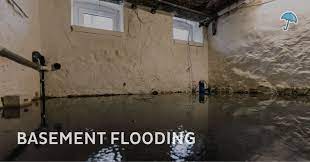 What To Do About Basement Water How