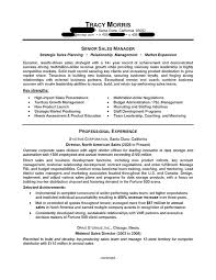 Sales Manager Resume Sample Professional Resume Examples Topresume