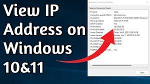 how to find ip address on windows 11