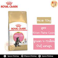 royal canin อาหารแมว โรย ล คาน น kitten