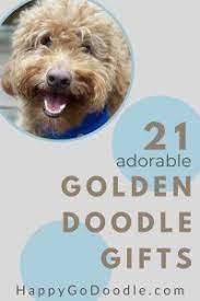 23 goldendoodle gifts for the doodle