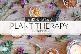 plant therapy essential oils
