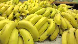 Resultado de imagem para a banana engorda