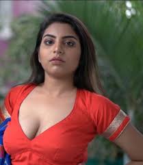 Vida samadzai hot in low waist saree Hot Indian Girls Saree Cleavage G Lal