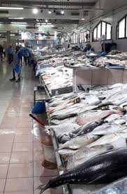 Sharp Drop In Fish Prices In Abu Dhabi Uae Gulf News