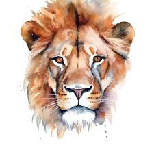 photo lion art bright color drawing