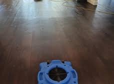 masters touch carpet care fresno ca