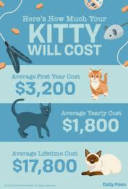 how much does it cost to own a cat