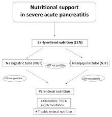 nutritional support in patients