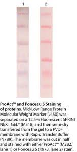 ponceau s proteomics grade vwr