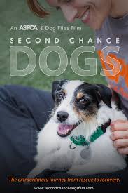 Interested in adopting at second chance? Abused Dogs Rescued Given Second Chance In New Aspca Movie Bark And Swagger