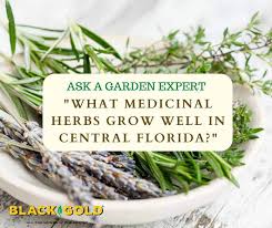 What Medicinal Herbs Grow Well In