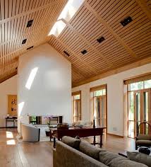 beautiful vaulted ceiling designs that