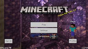 Realms are servers offered directly through mojang. Bedrock Edition 1 17 0 Minecraft Wiki
