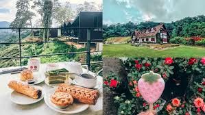 14 things to do in cameron highlands