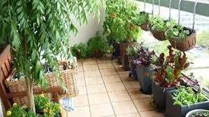 How To Grow A Balcony Garden 5 Tips