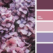 dark purple color palette ideas