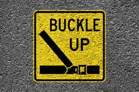 what are the new york seat belt laws