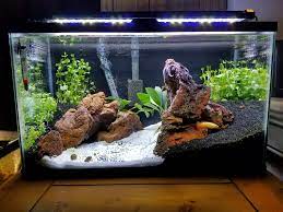 10 gallon aquarium stocking ideas that are sure to get you digging up that old 10 gallon in the garage. Beginner S Guide To Setting Up Of A 10 Gallon Aquarium Fishxperts