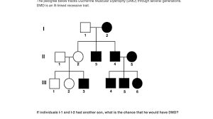 Pedigree worksheet key genetics pedigree worksheet a pedigree is a chart of a person s ancestors that is used to analyze genetic inheritance of certain traits especially diseases. Pedigrees Practice Classical Genetics Khan Academy