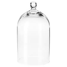 Bell Jar Display Dome Class Cloche With