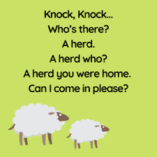I wrote some of these knock knock jokes for kids and also brought together the best of the best as long as they were clean, clever, and of course, hilarious! Jokes For Kids 104 Of The Best Knock Knock Jokes To Make Them Laugh