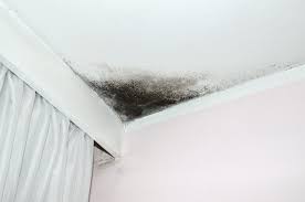 getting rid of mold on your ceiling in