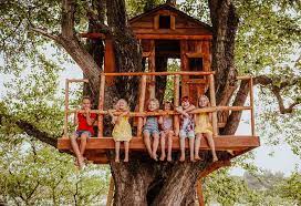 Diy Kids Treehouse Ideas