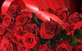 flowers of love red red roses love