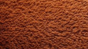 luxurious brown textured carpet with a