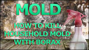 mold with borax mold