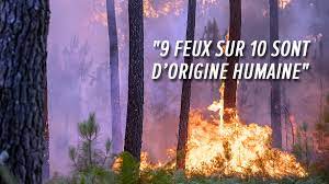 Des incendies virulents dévorent 3.700 hectares de forêts en Gironde: "Les  cris des gens, l'odeur de la fumée, tout ça, c'est flippant" | RTL Info