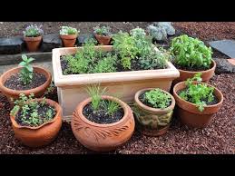 How To Plant A Culinary Herb Garden