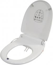 E Loo Toilet Seat With Bidet Cleaning