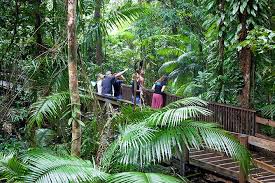daintree rainforest and mossman gorge