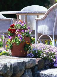 43 Beautiful Container Gardens For
