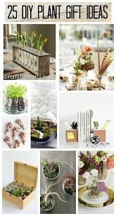 attractive plant gift ideas that are