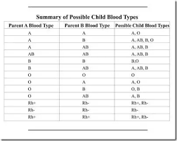 My Blood Group Is B Positive And My Husbands Blood Group Is