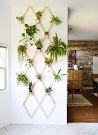 A Trellis Wall To Make Your Own Indoor